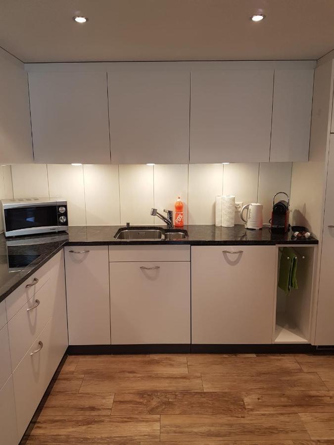 Chalet Grueneggli Adelboden Zewnętrze zdjęcie