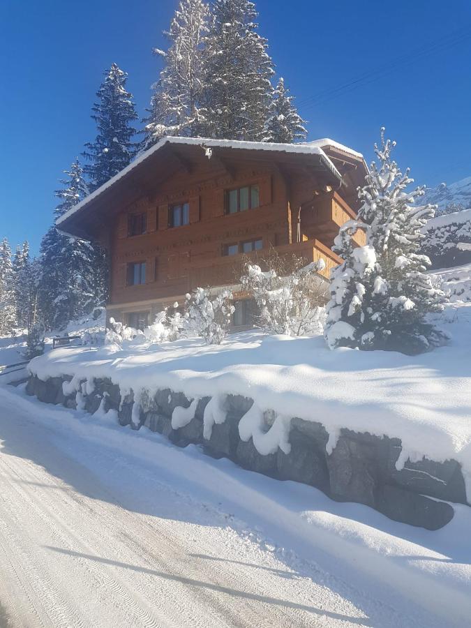Chalet Grueneggli Adelboden Zewnętrze zdjęcie