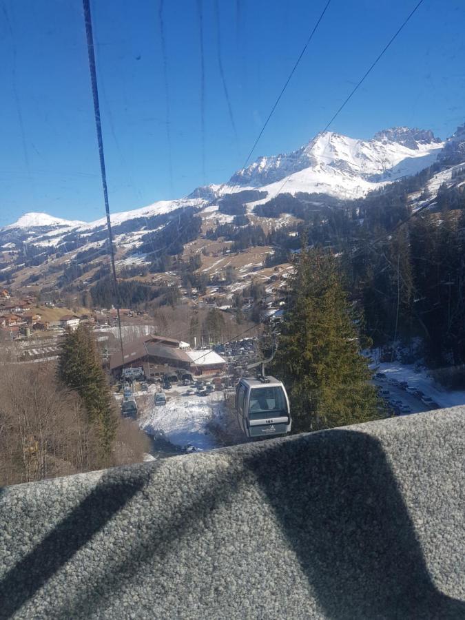 Chalet Grueneggli Adelboden Zewnętrze zdjęcie