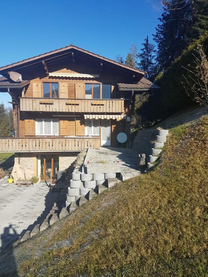 Chalet Grueneggli Adelboden Zewnętrze zdjęcie