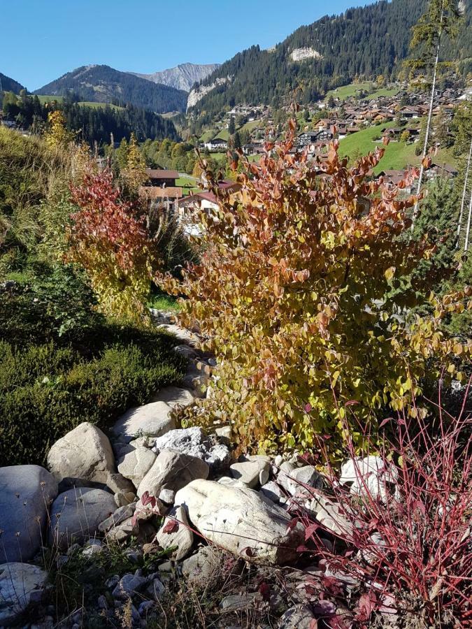 Chalet Grueneggli Adelboden Zewnętrze zdjęcie